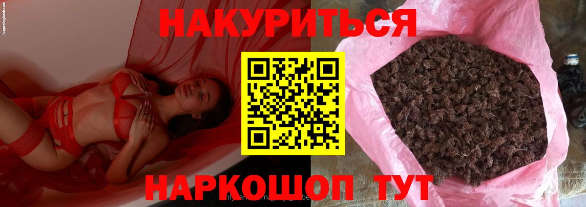 Можга  Марихуана MAZAR  Вход с VPN  Конопля планчик 
